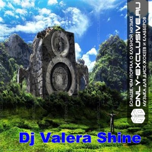 Dj Valera Shine - Dutch 2k11