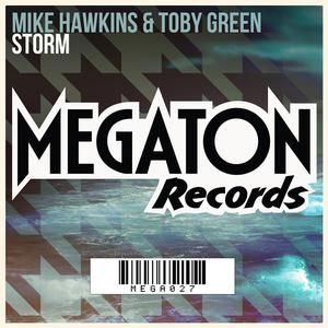 Mike Hawkins & Toby Green - Storm (Original Mix)